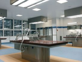 semmelweis-egyetem-iboi-referencia-3-primepito-kft.jpg - Pakasz Tanya Kemping - Agárd